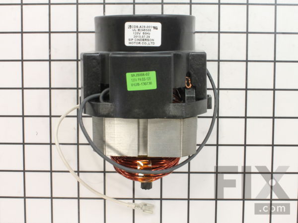 10159862-1-M-Graco-16F290-Motor, 120V