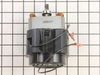 Motor, 120V – Part Number: 16F393