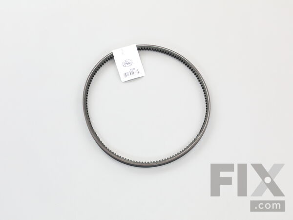 10160505-1-M-Graco-193547-Belt