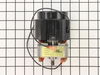 Motor, 120V – Part Number: 257570
