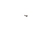 10165322-3-S-DeWALT-098128-85-Carriage Bolt