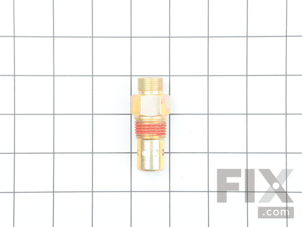 10165377-1-M-DeWALT-1000002673-Check Valve
