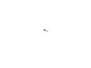 10168838-3-S-DeWALT-286346-00-Brush
