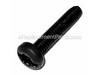 10169802-1-S-DeWALT-330045-07-Screw M4x20 T20