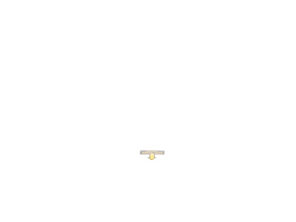 10170384-1-M-DeWALT-382588-00-Label