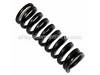 Compr Spring – Part Number: 384716-00