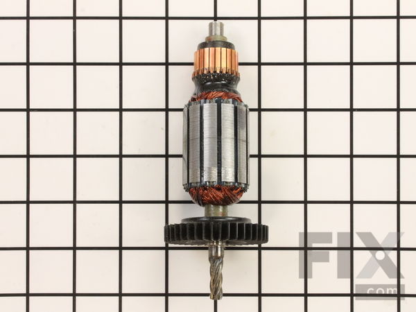 10170843-1-M-DeWALT-387614-00SV-Armature