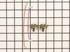 10171055-2-S-DeWALT-389025-00SV-Brush Pair Kit