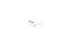 10171055-3-S-DeWALT-389025-00SV-Brush Pair Kit