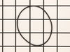O-Ring – Part Number: 390160-00