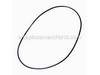 O-Ring – Part Number: 391485-00