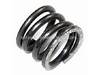 Spring – Part Number: 391812-00