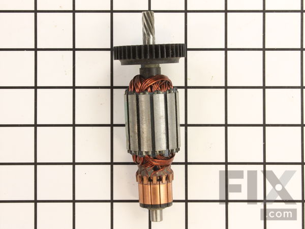 10171589-1-M-DeWALT-393416-00-Armature