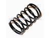 Spring – Part Number: 398736-00