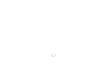 10172147-3-S-DeWALT-399052-00-Felt Washer