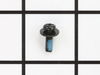 10172552-2-S-DeWALT-429673-00-Screw And Washer
