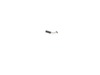 10173724-3-S-DeWALT-450374-12-Carbon Brush With Spring