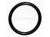 O-Ring – Part Number: 479526-00