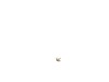 10174503-3-S-DeWALT-493511-00-Brush Pair Kit