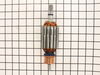 Armature (120v) – Part Number: 494578-00