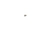 10178588-2-S-DeWALT-5140122-80-Brush Spring