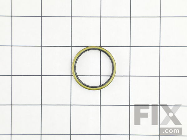 10179790-1-M-DeWALT-577812-00-Seal