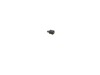 10180510-2-S-DeWALT-588563-00-Brush Assembly