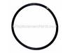 O-ring – Part Number: 609018-00