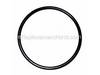 O-Ring – Part Number: 646361-00