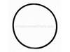 O-ring – Part Number: 647621-00