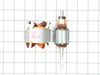 Field and Armature – Part Number: 90518513