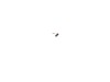 10185751-2-S-DeWALT-930802-00-Brush