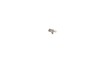 10185937-2-S-DeWALT-940146-01-Brush