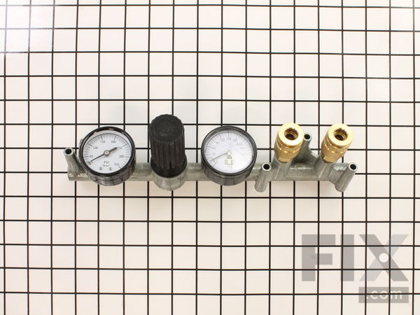 10187318-1-M-DeWALT-N028208-Manifold Regulator Assembly