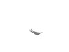 10187375-3-S-DeWALT-N030675-Riving Knife