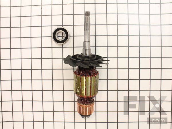 10187791-1-M-DeWALT-N048189-Armature & Brgs