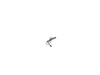 10188337-2-S-DeWALT-N095340-Cord