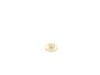 10188745-2-S-DeWALT-N147098-Cover Assy