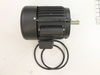 Motor – Part Number: 0Q4L