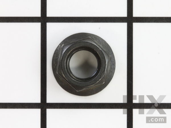 10214702-1-M-Craftsman-411061704-Nut