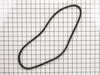 Belt – Part Number: 818523