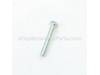 Capacitor Screw – Part Number: STD833040