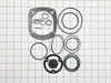 10243437-1-S-Campbell Hausfeld-SKN03200AV-Complete O-ring Kit