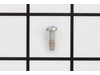 10243648-1-S-Campbell Hausfeld-ST110101AV-Screw