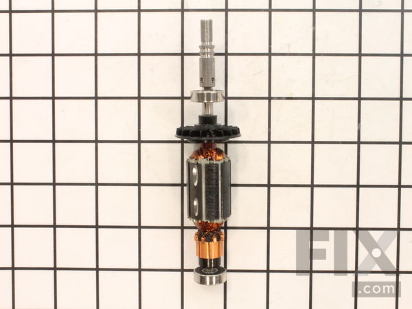 10259984-1-M-Dremel-2610013850-Armature & Bearing Assembly