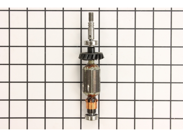 10260246-1-M-Dremel-2610941200-Armature 120V