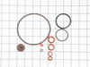 10290353-1-S-Chapin-6-5387-O-Ring Kit