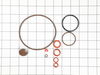 10290353-2-S-Chapin-6-5387-O-Ring Kit