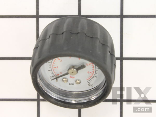 10290408-1-M-Chapin-6-8177-Gauge
