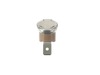10310625-3-S-DeLonghi-5285001600-Fuse